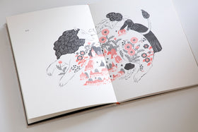 杉本さなえ作品集『石を放す』［お取寄商品］