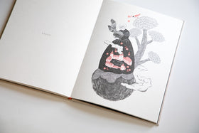 杉本さなえ作品集『石を放す』［お取寄商品］