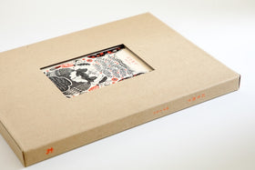 杉本さなえ作品集『石を放す』［お取寄商品］