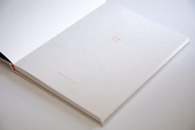 杉本さなえ作品集『石を放す』［お取寄商品］