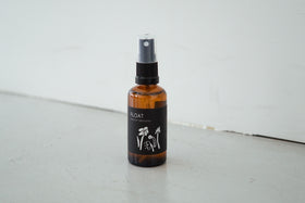 FLOAT OUTDOOR MIST