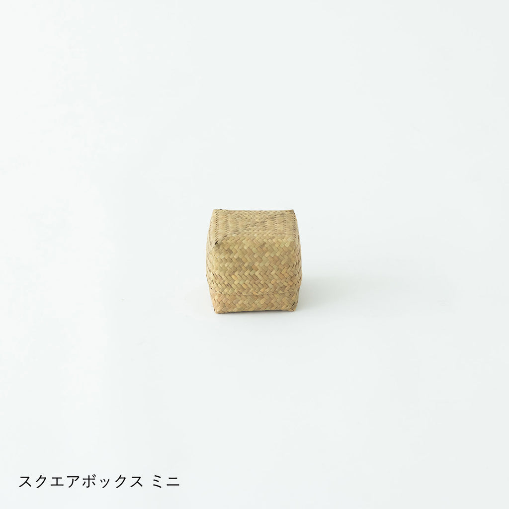 HuuHuu 水草ボックス