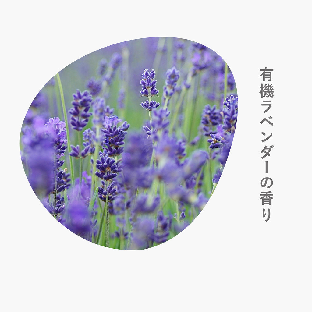 sonett ナチュラルウォッシュリキッド ウール・シルク用（おしゃれ着用液体洗剤）