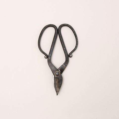 TAjiKA branch＆root shears