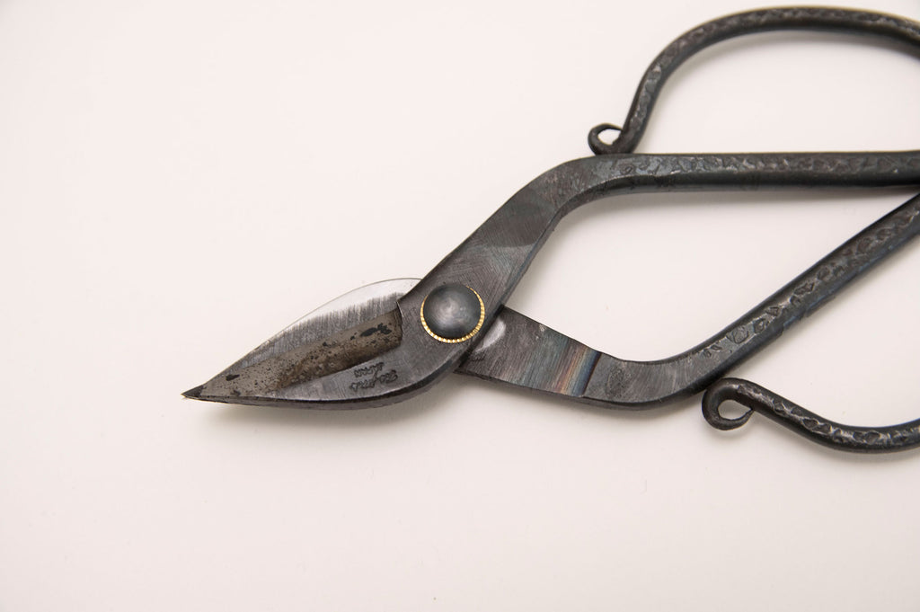 TAjiKA branch＆root shears