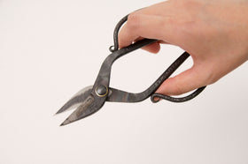 TAjiKA branch＆root shears